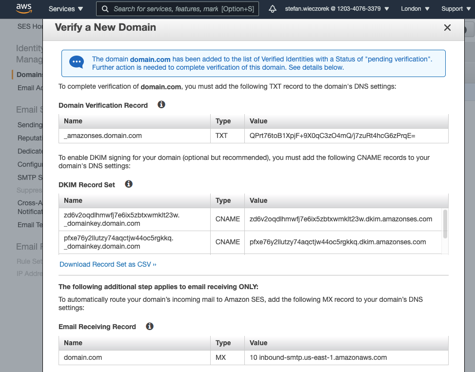 Add DNS Recoerds to verify a New Domain