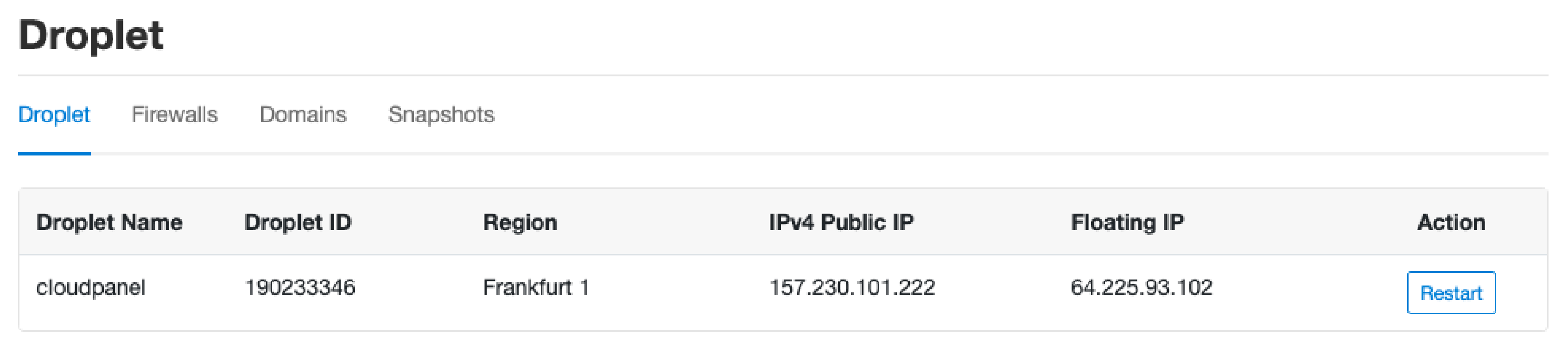 Digital Ocean Droplet Information on CloudPanel