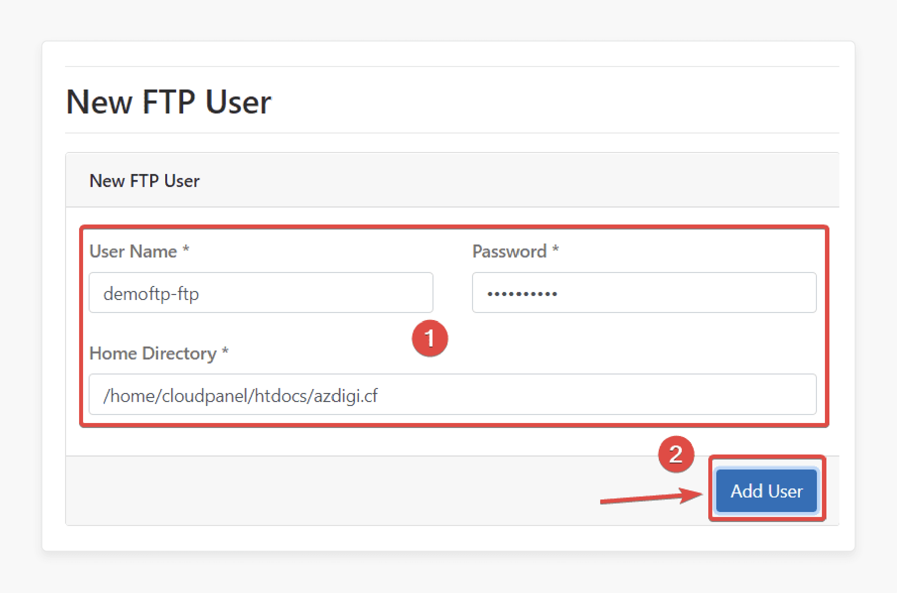 enter ftp username, password, and home directory path in cloudpanel interface