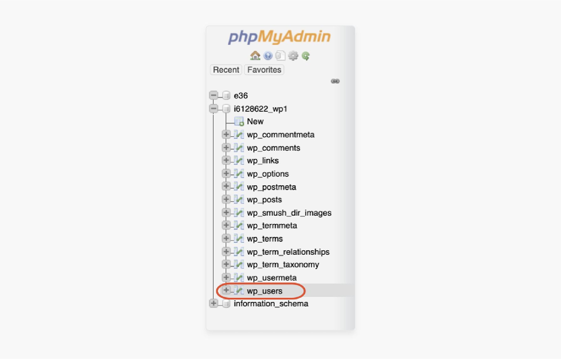 phpMyAdmin users table opened
