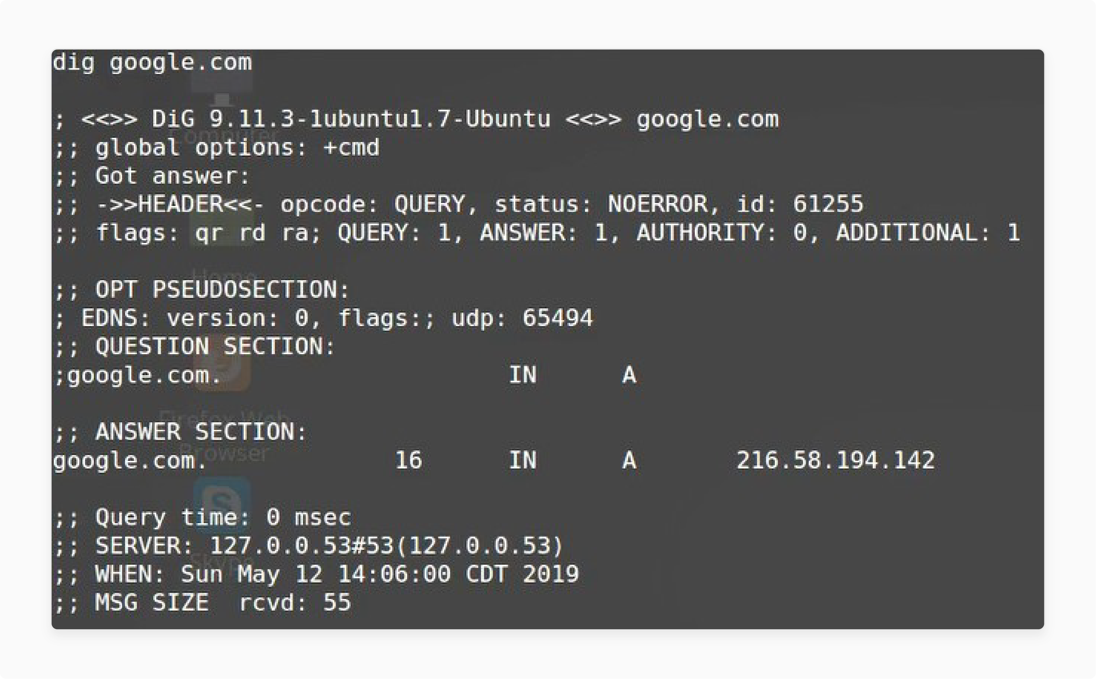 dig command output showing DNS result