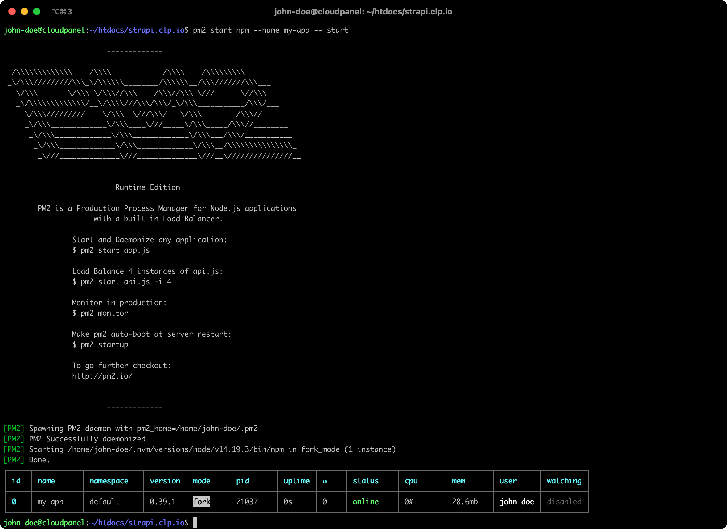 PM2 Start NPM